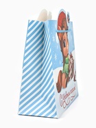 Пакет подарочный «Новый год 2026», лошадь, 25 х 26 х 10 см (комплект 2 шт) - фото 52104532