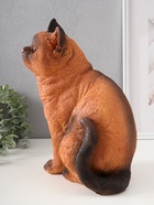 Фигурка гипс «Кошка Сиамская окраска», 31.5×16×24 см - Фото 2