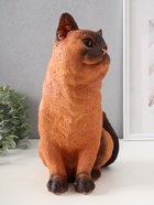 Фигурка гипс «Кошка Сиамская окраска», 31.5×16×24 см - Фото 4