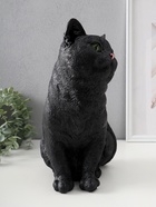 Фигурка гипс «Кошка чёрная окраска», 31.5×16×24 см - Фото 4