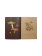 Тетрадь 40 листов, в клетку, BrunoVisconti. FLORA «Грибная феерия» - Фото 2