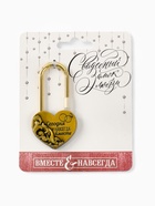 Замок свадебный «Сегодня и навсегда вместе», 3.7 х 7.6 см. 9903122 - фото 16661965