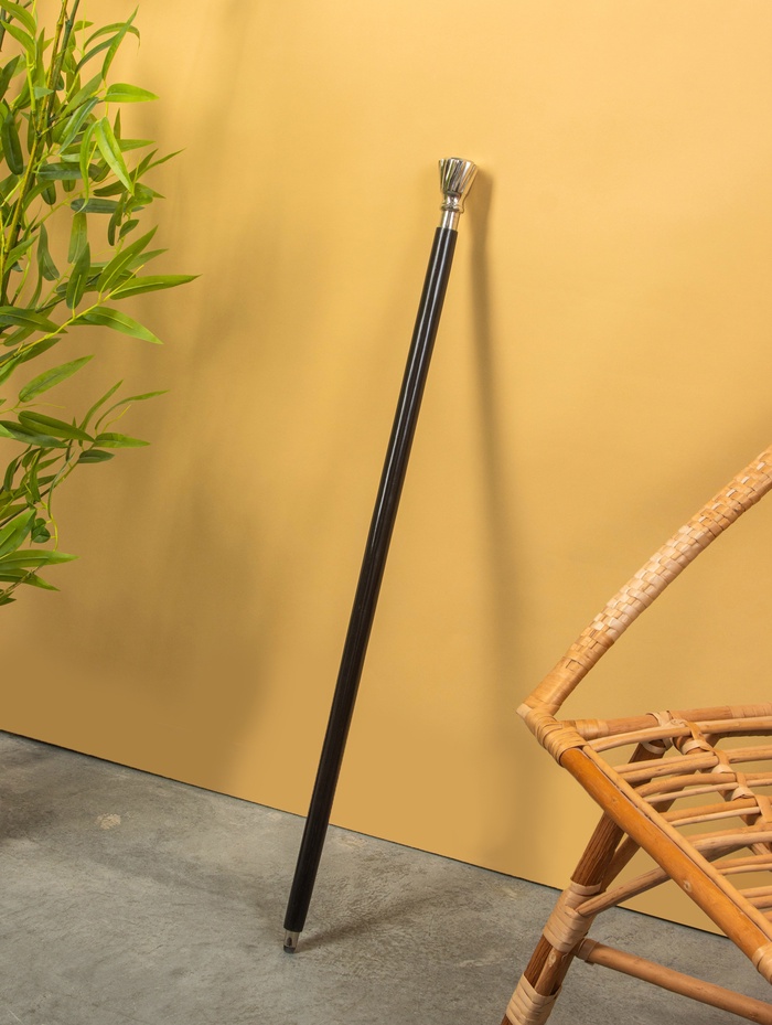 Трость с компасом, 94 см, латунь, дерево - Фото 1