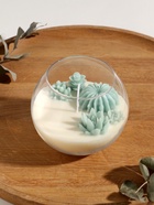 Ароматическая свеча в подсвечнике «Суккуленты», 1 фитиль, белый чай, 11×11×10 см - Фото 1