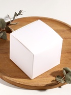 Ароматическая свеча в подсвечнике «Суккуленты», 1 фитиль, белый чай, 11×11×10 см - Фото 3