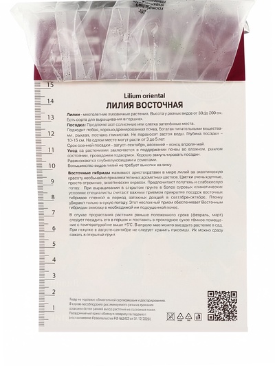 Лилия восточная «Вангелис», 16/18 р-р, 1 шт., 60-80 h(см), Осень 2025