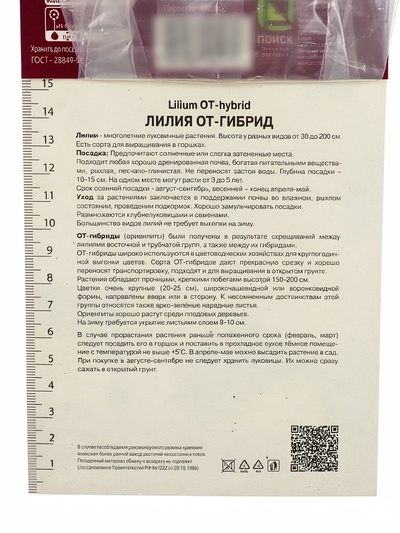 Лилия ОТ-гибрид «Бонбини», 14/16. р-р, 2 шт., 90 h(см), Осень 2025