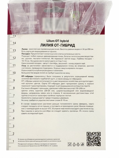 Лилия ОТ-гибрид «Кэнди Клаб», 16/18 р-р, 1 шт., 120 h(см), Осень 2025