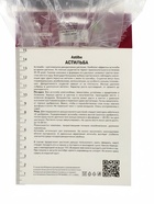Астильба Арендса Лаки Дей I р-р, 1 шт. Весна 2026 - Фото 3