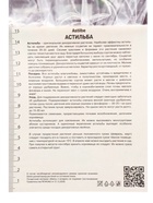 Астильба Арендса «Фёэр», 1 шт., Осень 2026, «ПОИСК» - Фото 3
