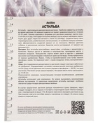 Астильба Арендса «Хэппи Спирит», 1 шт., Осень 2026, «ПОИСК» - Фото 4