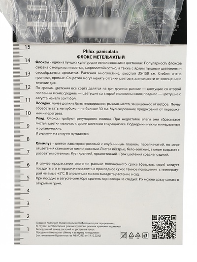 Флокс метельчатый «Олимпус», I р-р, 1 шт., 80-85 h(см), Осень 2025