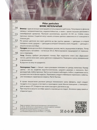 Флокс метельчатый «Пепперминт Твист», I р-р, 1 шт., 60-90 h(см), Осень 2025