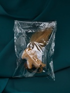 Ёлочная игрушка «Бельчонок» 8×13 см, бежевый 10876228