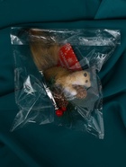 Ёлочная игрушка «Бельчонок на веточке» 7.5×12 см, бежевый - Фото 12