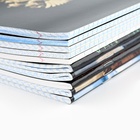 Тетради предметные, 36 л., набор из 10 шт., блок №1 «Россия» - Фото 3