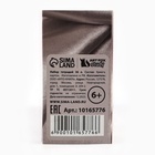 Тетради предметные, 36 л., набор из 10 шт., блок №1 «Россия» - Фото 8