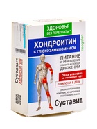Капсулы Суставит Хондроитин/глюкозамин+МСМ «Питание и обновление», 850 мг 30 шт. - Фото 1