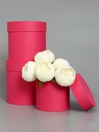 Набор шляпных коробок  3 в 1 "Малина",18,5 × 18,5 ‒13 × 13 см - фото 48664177