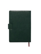 Ежедневник недатированный А5, с хлястиком, 112 листов, в линейку, пвх, зеленый 10771042