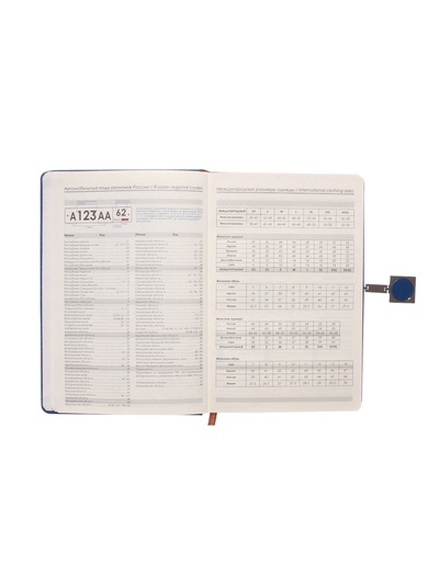 Ежедневник недатированный А5, с хлястиком, 96 листов, в линейку, пвх, синий