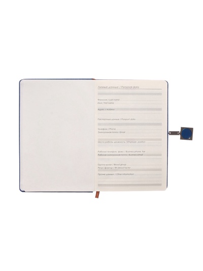 Ежедневник недатированный А5, с хлястиком, 96 листов, в линейку, пвх, синий