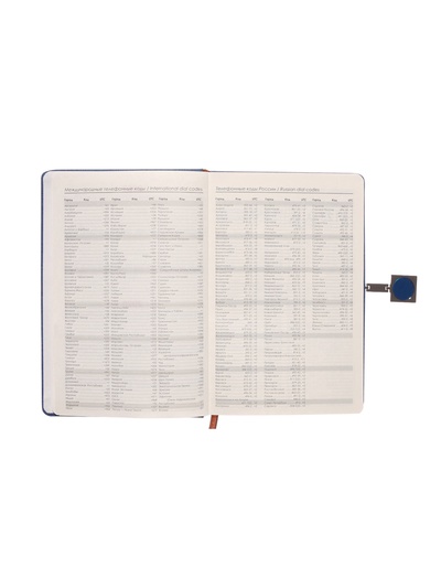 Ежедневник недатированный А5, с хлястиком, 96 листов, в линейку, пвх, синий