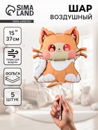 Воздушные шары фольгированные 15" «Котик», 5 шт., для палочки - фото 116358721