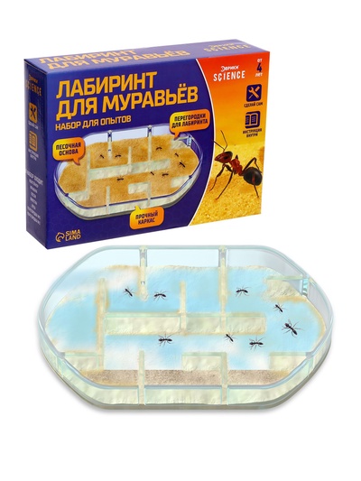 УЦЕНКА Набор для опытов «Лабиринт для муравьёв»
