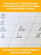 Прописи с углублениями «Чистописание», 34 стр - фото 809718622