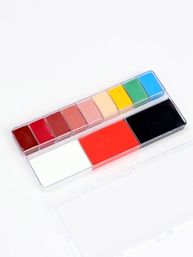 Профессиональный грим, палитра 12 цветов, № 2, цветная