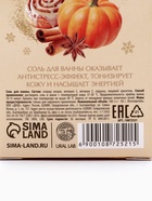 Соль для ванны с ароматом тыквенного штруделя, 100 г, URAL LAB 10872521