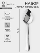 Набор столовых ложек Доляна «Оптима», длина 19 см, набор 12 шт., нержавеющая сталь, серебристый - Фото 1