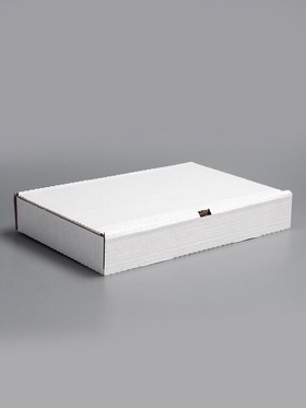 Коробка для пирога и пиццы, белая, 39?25?6 см (комплект 10 шт)