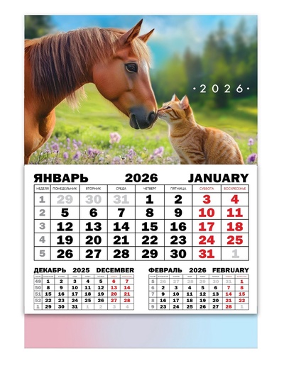 Календарь настенный квартальный 2026 «Лошадь с котенком», 30 х 46 см