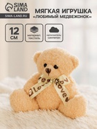 Мягкая игрушка «Любимый медвежонок» - Фото 1