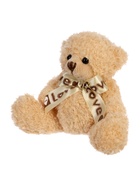 Мягкая игрушка «Любимый медвежонок» - Фото 4