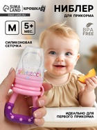 Ниблер для прикорма, от 5 мес., с силиконовой сеточкой, размер М «Принцесса», розовый - Фото 1