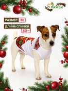 Майка «Респект», размер M (ДС 30, ОШ 30, ОГ 40 см), красная - Фото 1