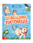 Энциклопедия в твёрдом переплёте «Домашние питомцы», 72 стр. - фото 116380603