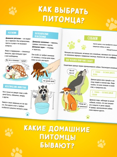 Энциклопедия в твёрдом переплёте «Домашние питомцы», 72 стр.
