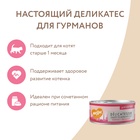 Влажный корм Мнямс Деликатес телятина с овощами для котят от 1 мес. «Паштет по-бельгийски» 100 г - Фото 6
