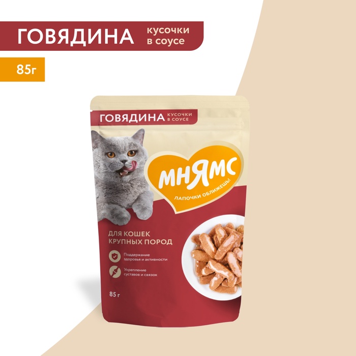 Влажный корм Мнямс На каждый день Кусочки в соусе с говядиной для крупных кошек 85 г - Фото 1