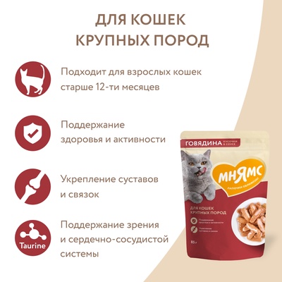 Влажный корм Мнямс На каждый день Кусочки в соусе с говядиной для крупных кошек 85 г