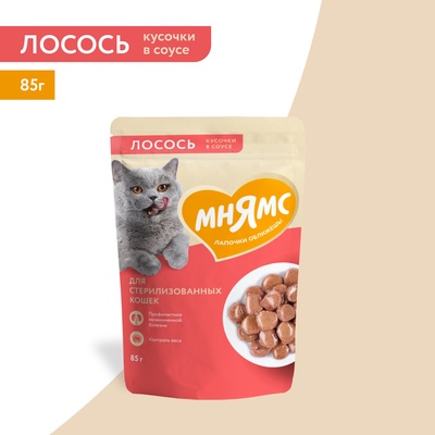 Влажный корм для стерилизованных кошек «Мнямс На каждый день», кусочки в соусе с лососем, 85 г