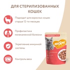 Влажный корм для стерилизованных кошек «Мнямс На каждый день», кусочки в соусе с лососем, 85 г - Фото 5