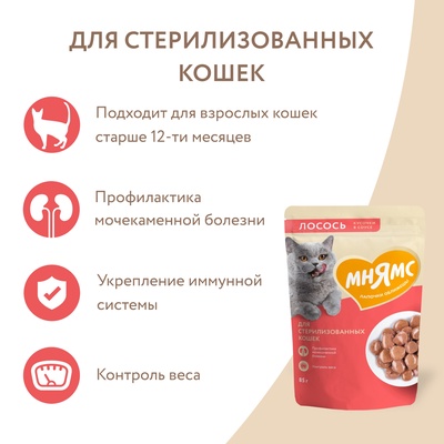 Влажный корм для стерилизованных кошек «Мнямс На каждый день», кусочки в соусе с лососем, 85 г