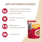 Влажный корм Мнямс На каждый день Кусочки в соусе с телятиной для активных кошек 85 г - Фото 5