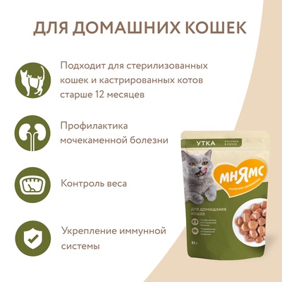 Влажный корм Мнямс На каждый день Кусочки в соусе с уткой для домашних кошек 85 г