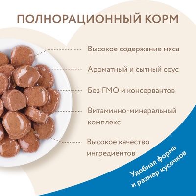 Влажный корм Мнямс На каждый день Кусочки в соусе с форелью для красивой шерсти кошек 85 г